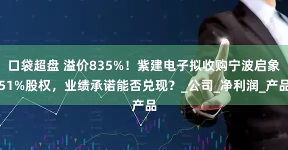 口袋超盘 溢价835%！紫建电子拟收购宁波启象51%股权，业绩承诺能否兑现？_公司_净利润_产品