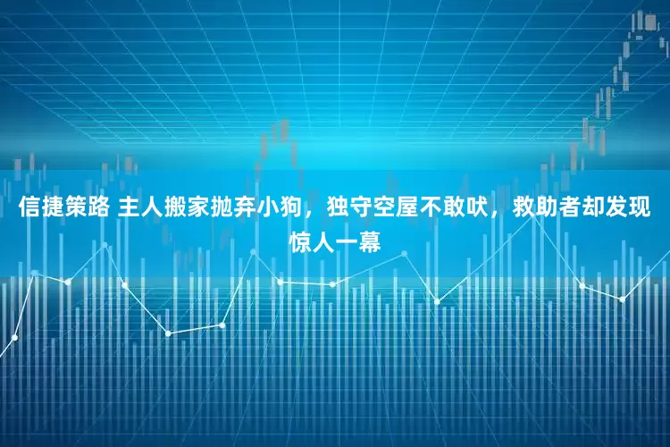 信捷策路 主人搬家抛弃小狗，独守空屋不敢吠，救助者却发现惊人一幕