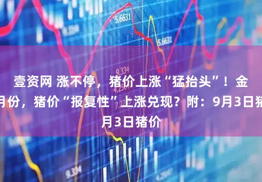 壹资网 涨不停，猪价上涨“猛抬头”！金九月份，猪价“报复性”上涨兑现？附：9月3日猪价